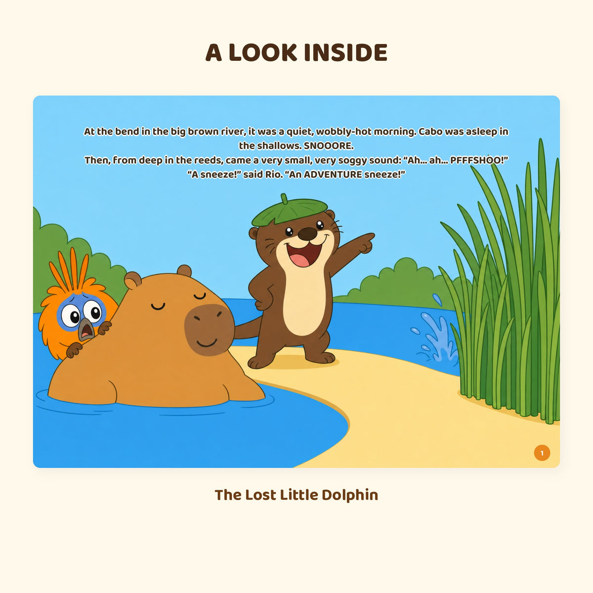 A look inside The Lost Little Dolphin